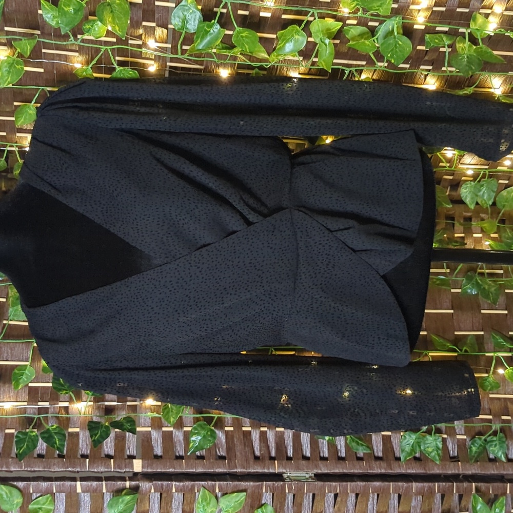 Express Professional Blouse